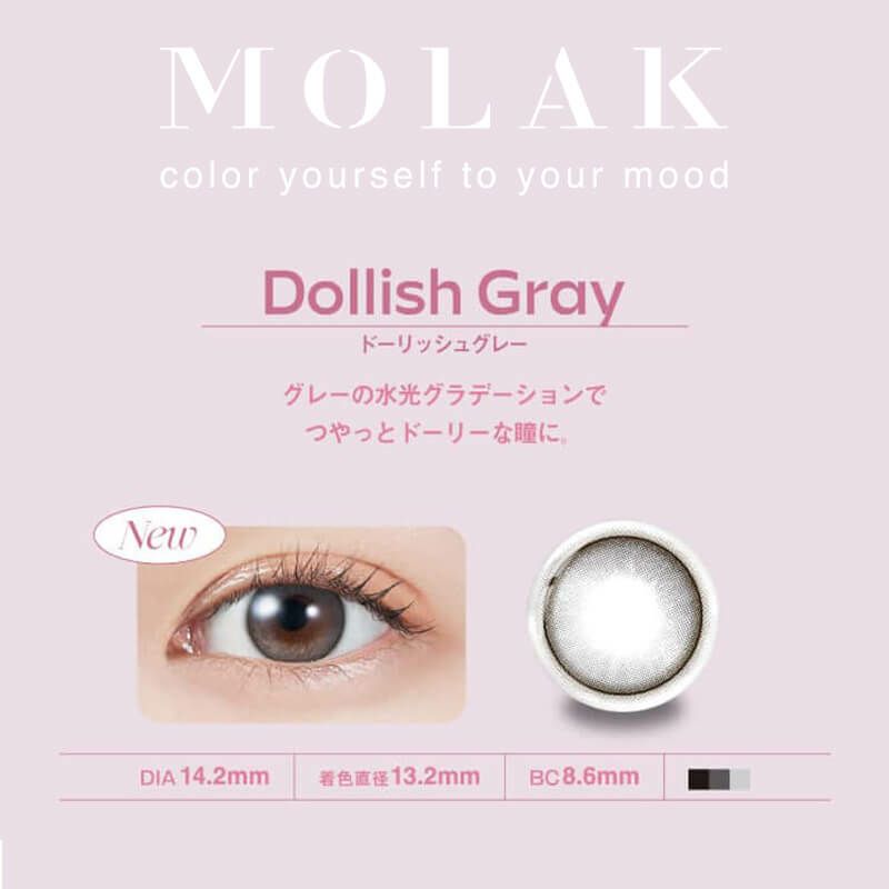 MOLAK1DAY　（モラクワンデー） 10枚入（ドーリッシュグレー） 