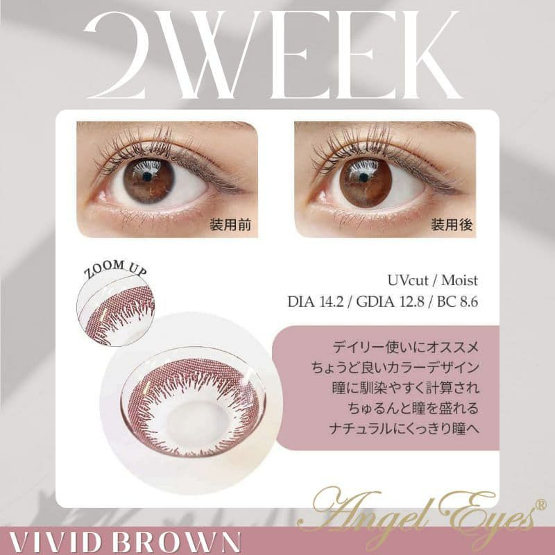 エンジェルアイズ 2week UVM　6枚入（ヴィヴィッドブラウン）