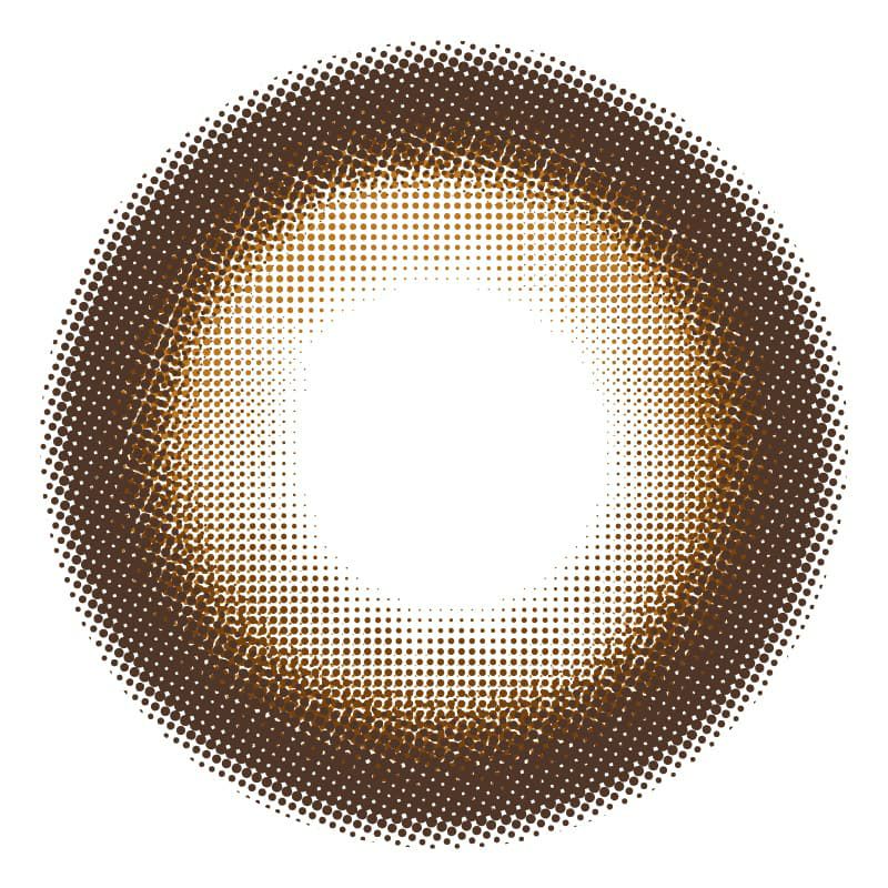 プリドーリーブラウン-レンズ画像