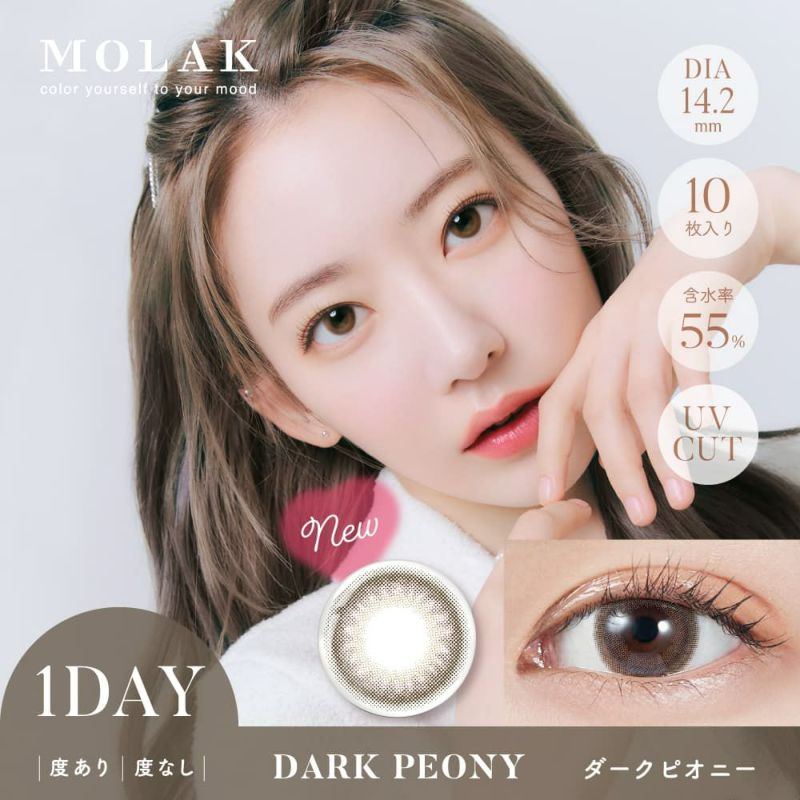 MOLAK1DAY(モラクワンデー)10枚入[ダークピオニー]