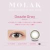 【3箱目無料】MOLAK1DAY(モラクワンデー)10枚入[ダズルグレー] 