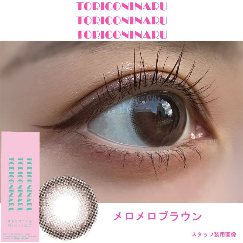 メロメロブラウン-スタッフ装用画像