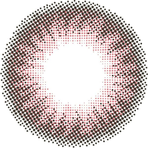 フラミンゴ-レンズ画像