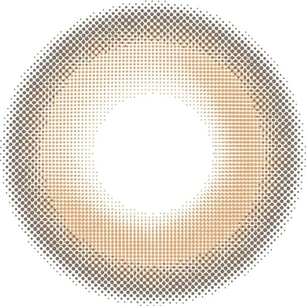 キャメル-レンズ画像