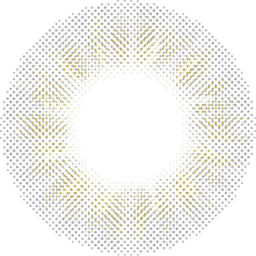 玉こんにゃく-レンズ画像