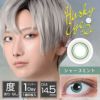 シャープミント-イメージ画像
