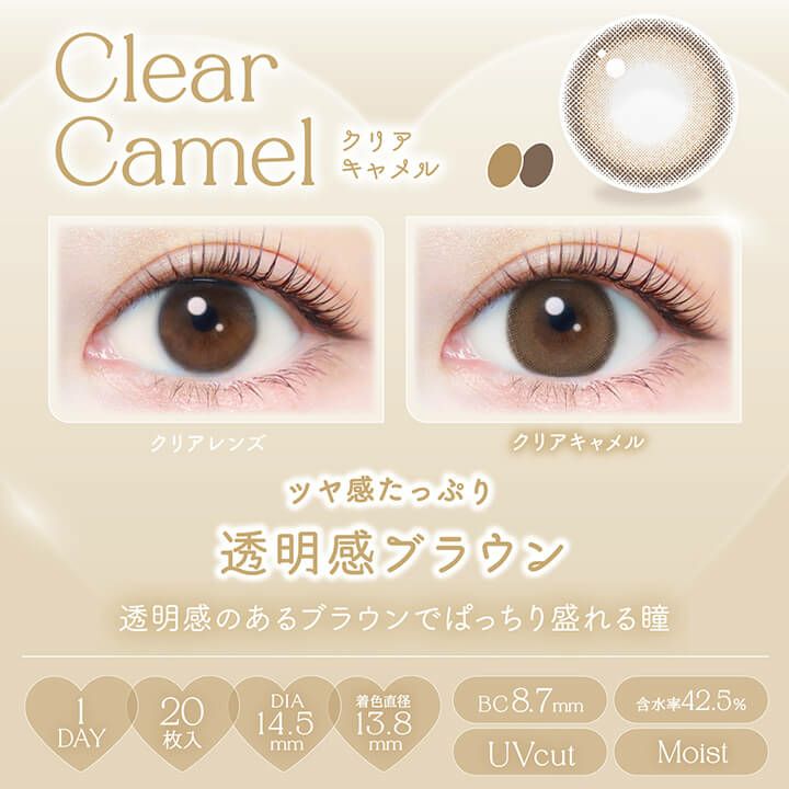 エバーカラーワンデーナチュラル 20枚入[クリアキャメル] 