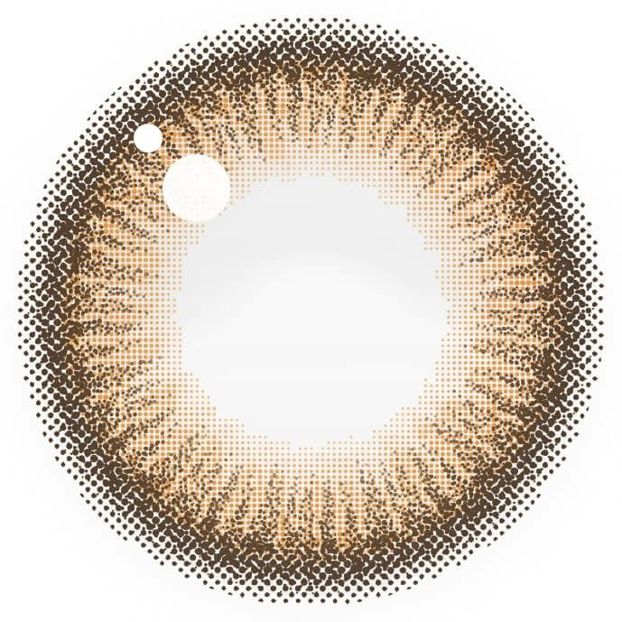 アプリコットブラウン-レンズ画像