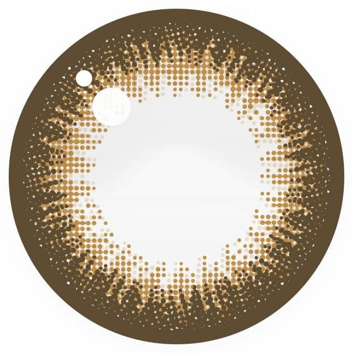 シャンパンブラウン-レンズ画像