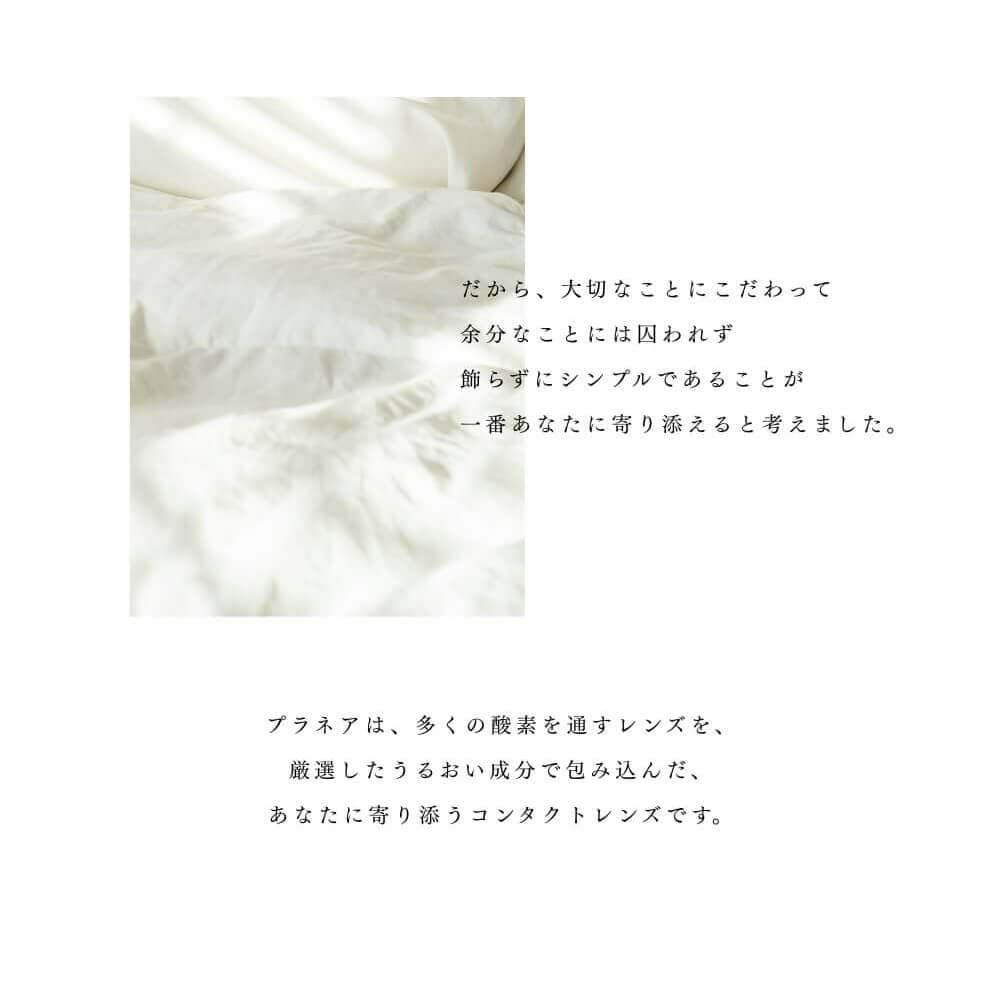 プラネアワンデー(pranair 1day)30枚入×2箱