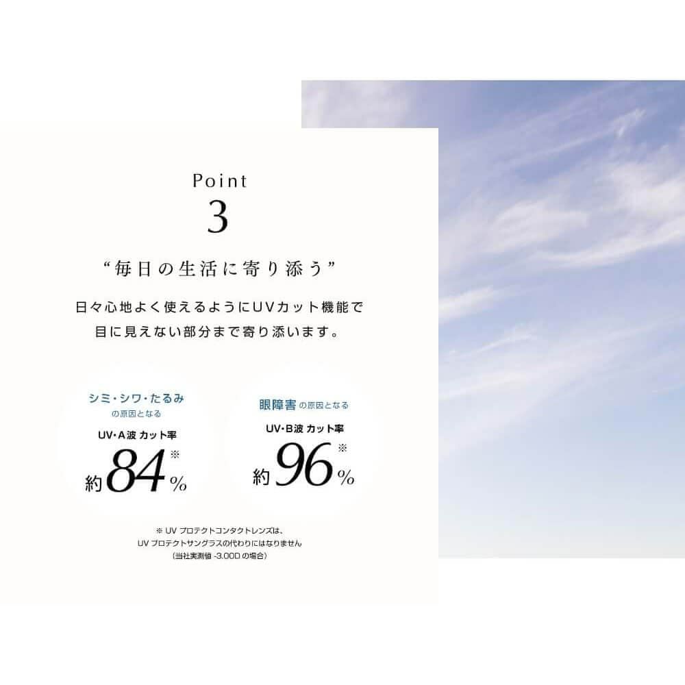 プラネアワンデー(pranair 1day)30枚入×2箱