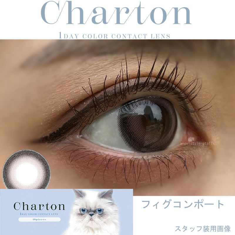 シャルトンワンデー(charton 1day) フィグコンポート-スタッフ装用画像