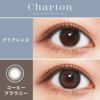  シャルトン ワンデー(charton 1day)[コーヒーブラウニー] 