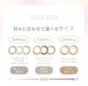  レリッシュワンデー (LALISH 1day) 10枚入[シックヴィンテージ] 