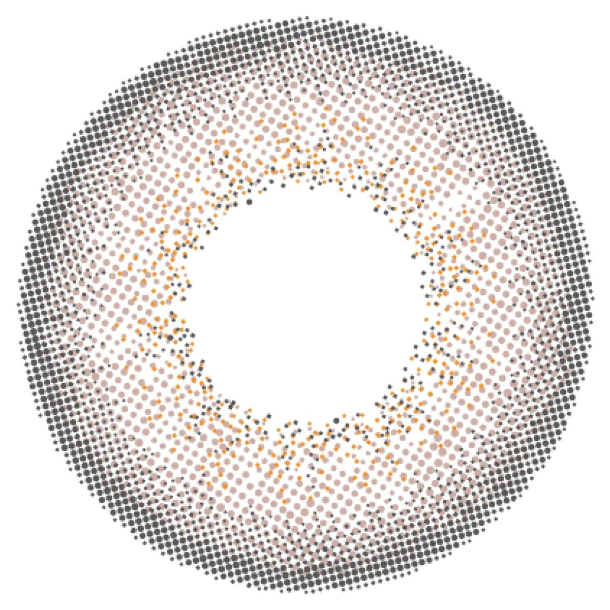 エンジェルカラーバンビワンデー 30枚入[パールグレー] 