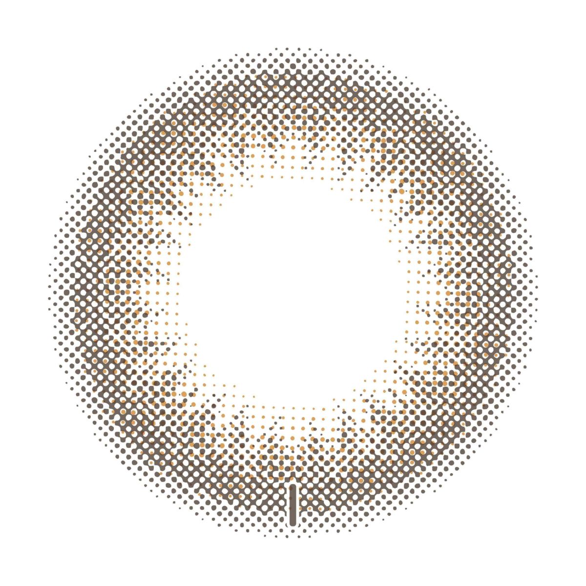 【CYL-1.25/180°】トパーズ トーリック (TOPARDS) 10枚入[オパール] 