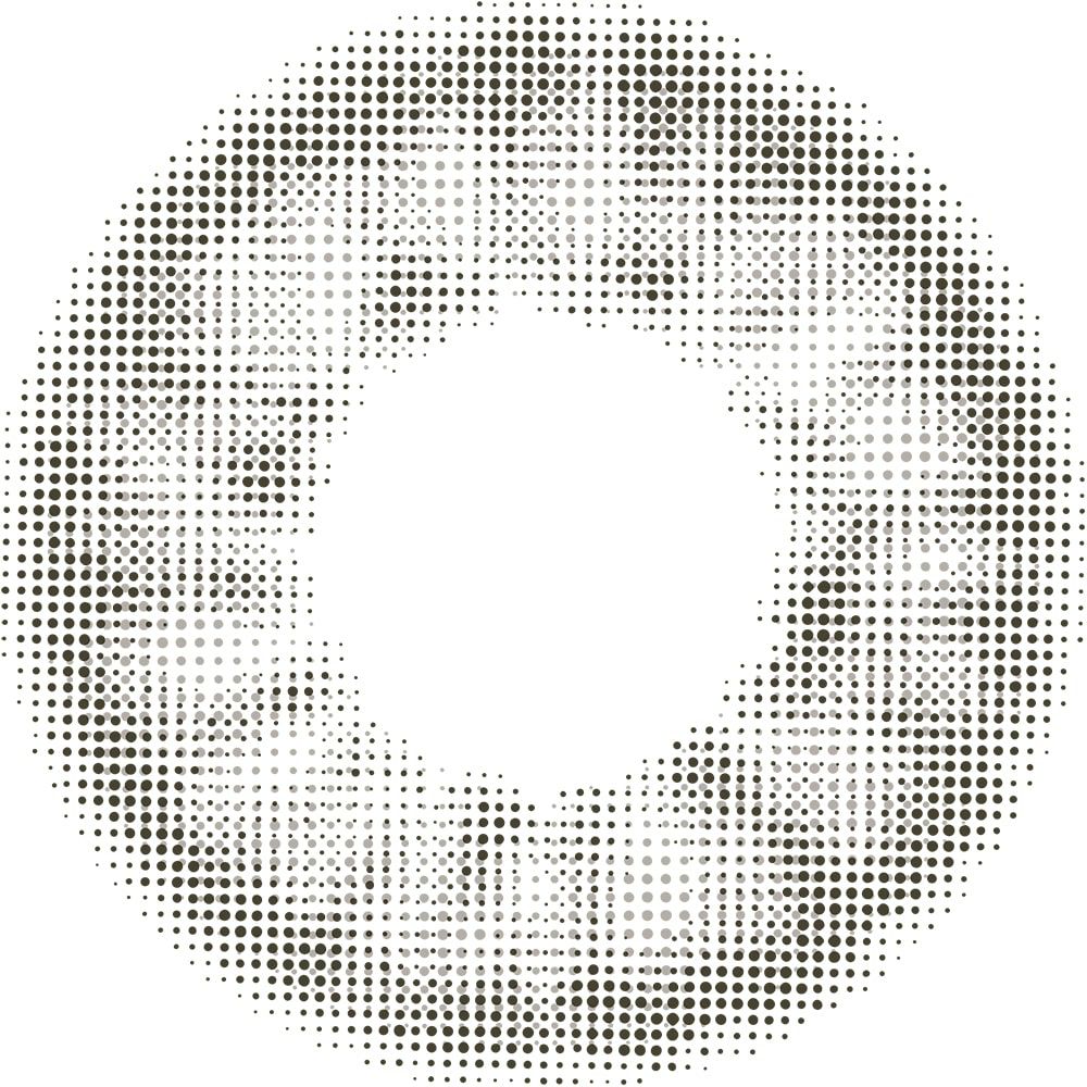 リルムーン ワンデー (LILMOON 1day) 10枚入[スモーキーグレー] 