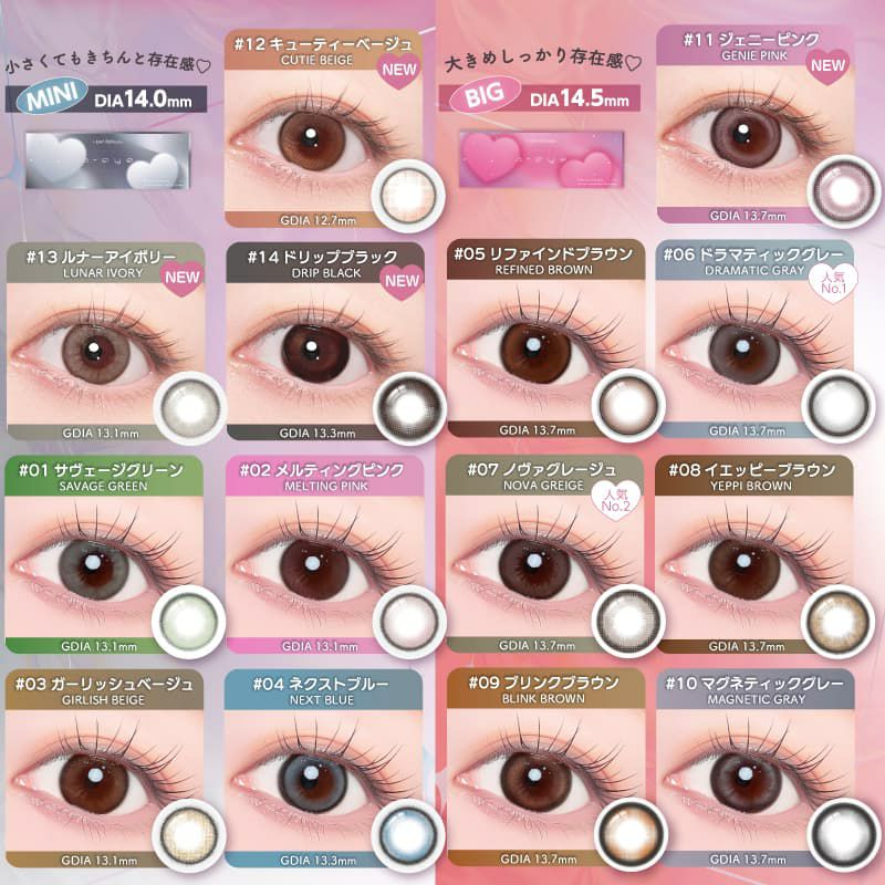 ワンデーリフレアエーアイ(1-DAY Refrear a-eye)10枚入 