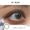 サヴェージグリーン-スタッフ装用画像-ワンデーリフレアエーアイ(1-DAY Refrear a-eye)10枚入 