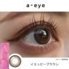 イエッピーブラウンレポ-ワンデーリフレアエーアイ(1-DAY Refrear a-eye)10枚入 