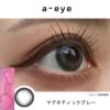 マグネティックグレーレポ-ワンデーリフレアエーアイ(1-DAY Refrear a-eye)10枚入 