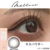 モカパウダー-スタッフ装用画像