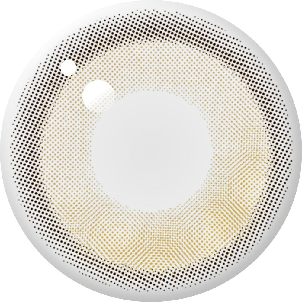 アンヴィ ワンデーUV (envie　1day UV) 10枚入[ウォーターモカベージュ] 