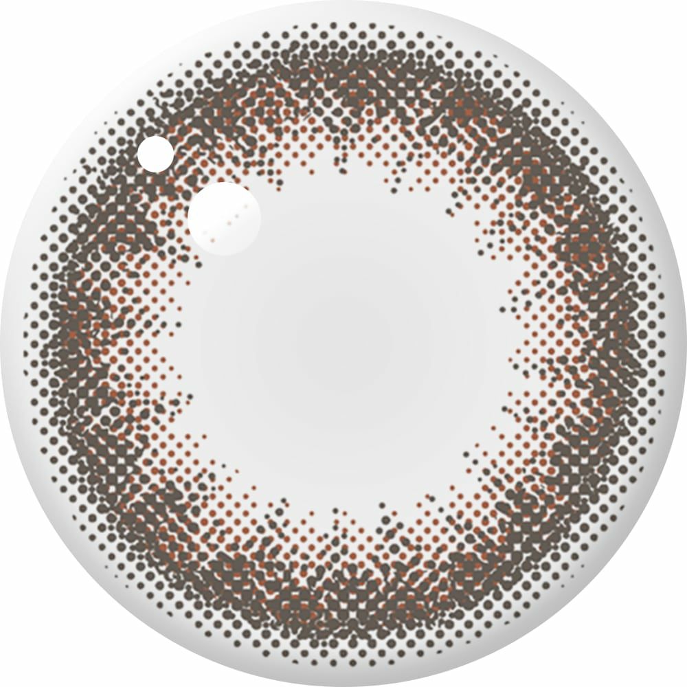 アンヴィ ワンデーUV (envie　1day UV) 10枚入[マルーンブラック] 