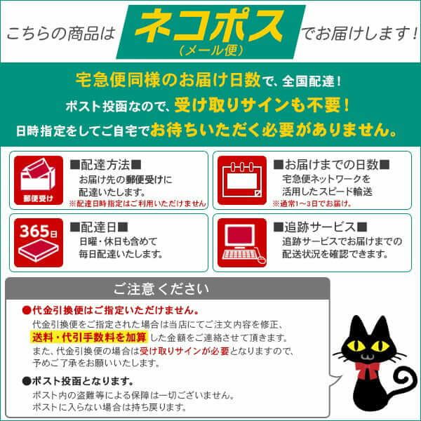 アンヴィ ワンデーUV (envie 1day UV) 10枚入[オリーブブラウン] 