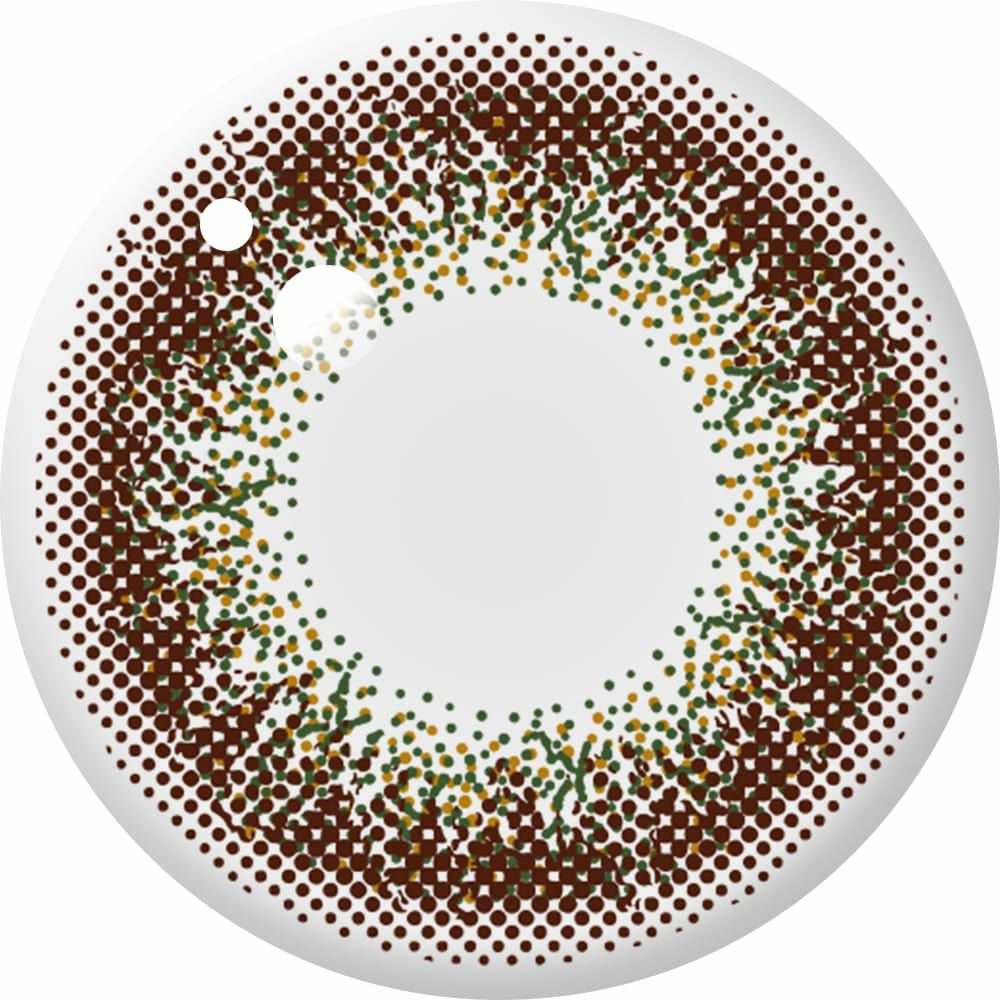 アンヴィ ワンデーUV (envie 1day UV) 10枚入[オリーブブラウン] 