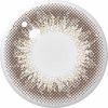 アンヴィ ワンデーUV (envie 1day UV) 10枚入[シャンパングレー] 