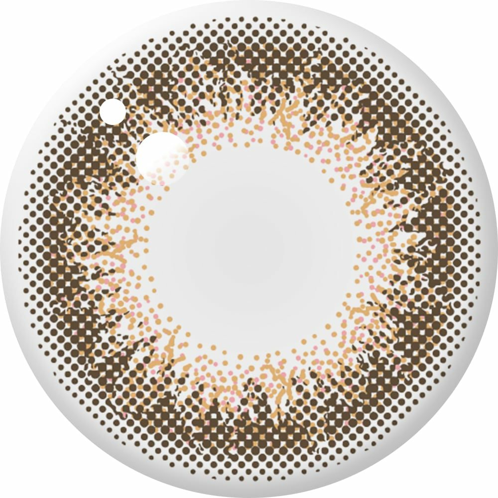 アンヴィ ワンデーUV (envie 1day UV) 10枚入[コーラルチーク] 