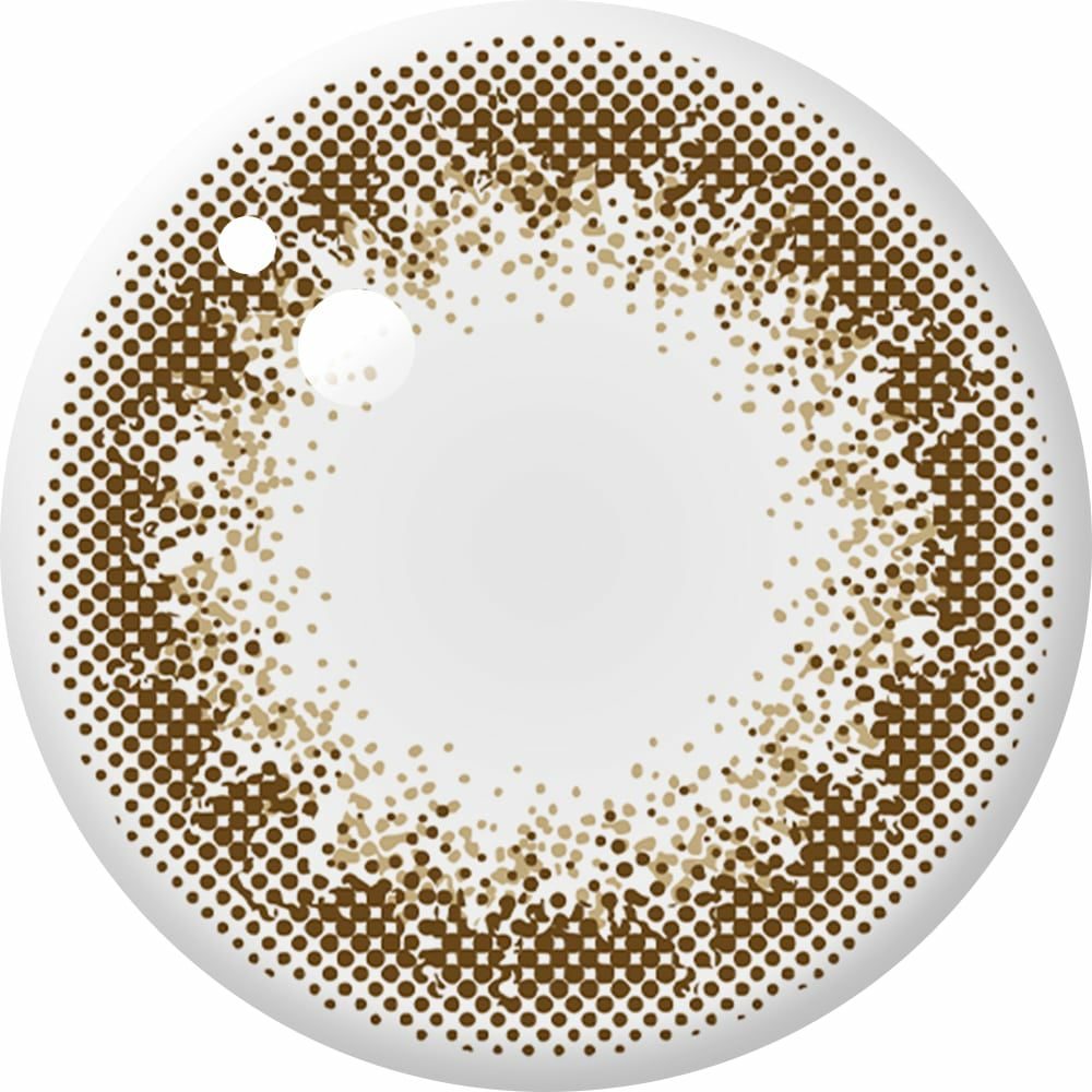  アンヴィ ワンデーUV (envie 1day UV) 10枚入[クラシックアンバー] 