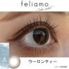 フェリアモ ワンデー（feliamo 1day） 10枚入[ウーロンティー] 