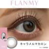 クリームマカロン-スタッフ装用画像-フランミー(FLANMY) 10枚入 