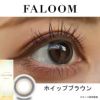  ファルーム(FALOOM)10枚入[ホイップブラウン] レポ