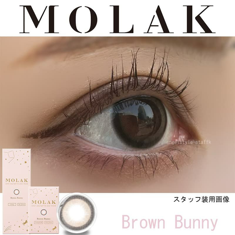 ブラウンバニー-スタッフ装用画像