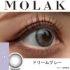 MOLAK1DAY(モラクワンデー)10枚入[ドリームグレー] 