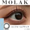 MOLAK1DAY(モラクワンデー)10枚入[ユニフォームブラック] 