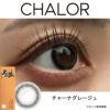 チャロル(CHALOR) 10枚入[チャーナグレージュ] 