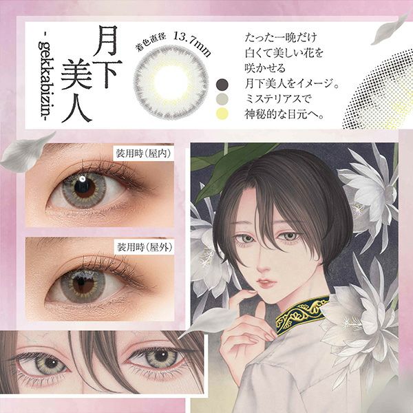 美少年画 Bishonenga(ビショウネンガ)2枚入[月下美人] 