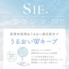  シークリアワンデー(SIE. CLEAR 1day) 30枚入 