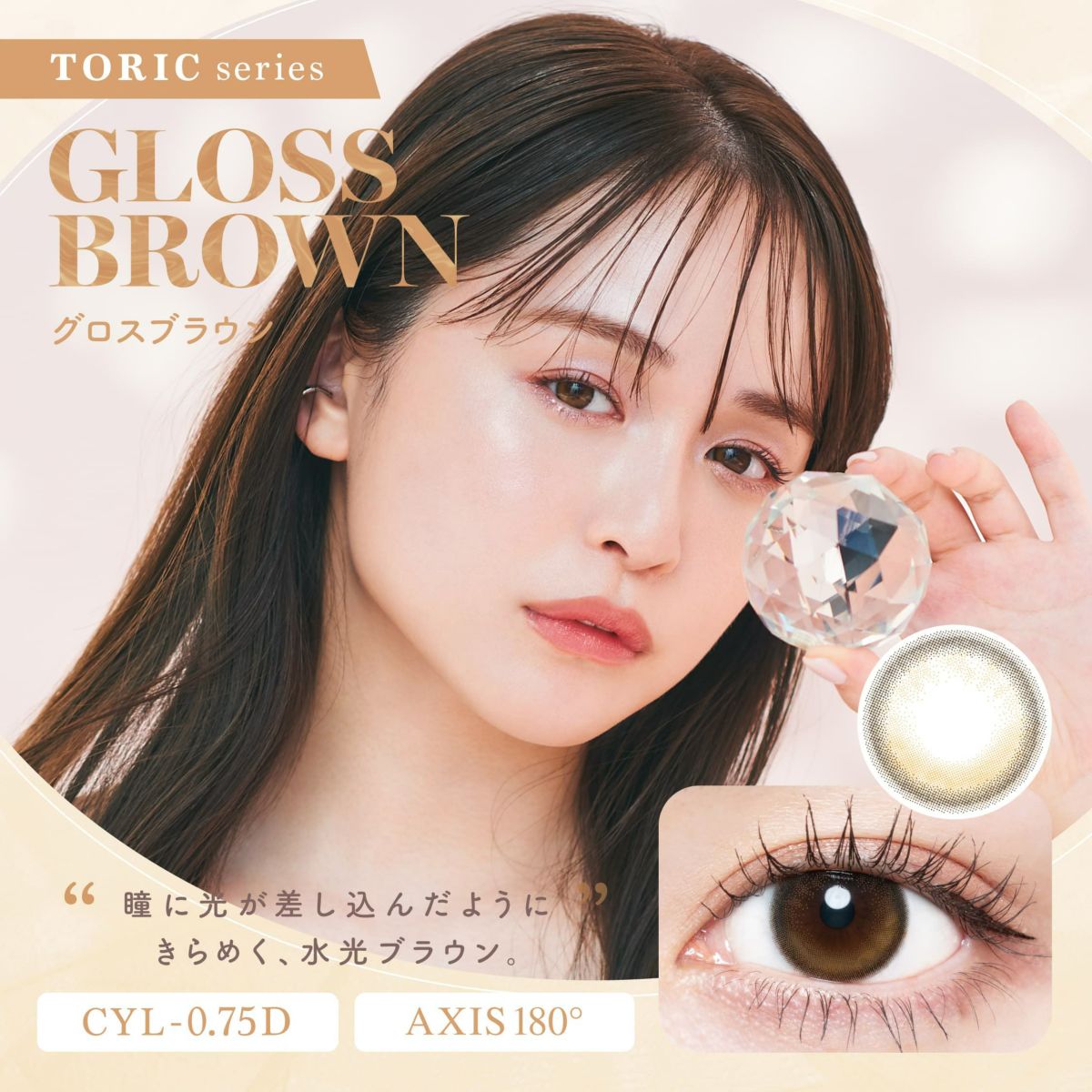 グロスブラウン-イメージ画像