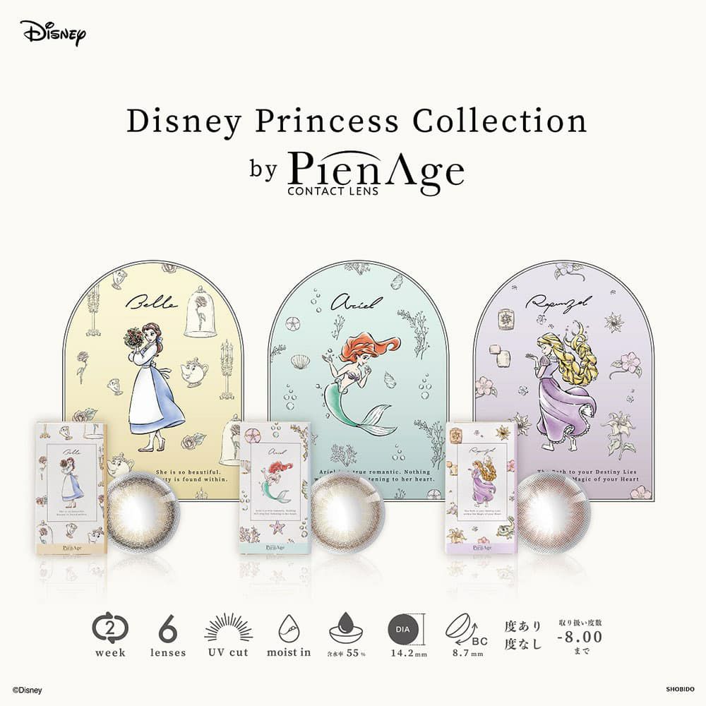 ディズニープリンセスコレクション バイ ピエナージュ 6枚入