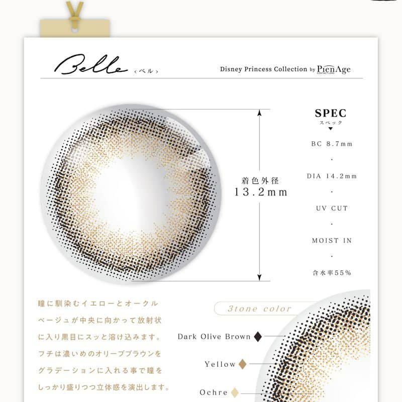 ディズニープリンセスコレクション バイ ピエナージュ 6枚入－ベル