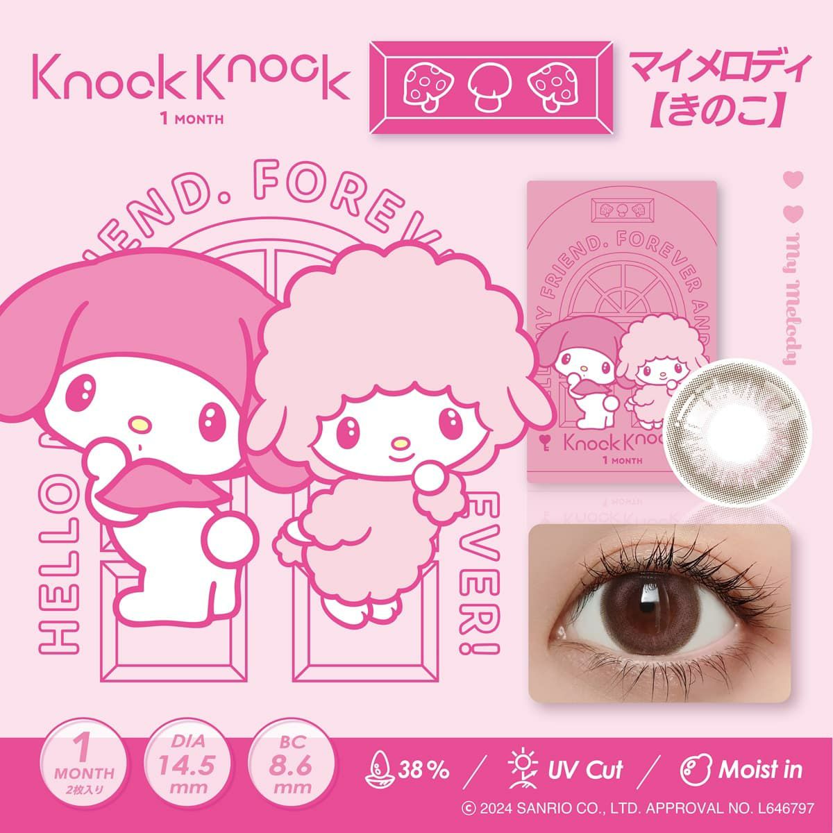 きのこ-イメージ画像