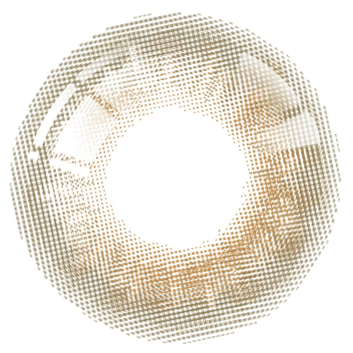 らっきょう-レンズ画像