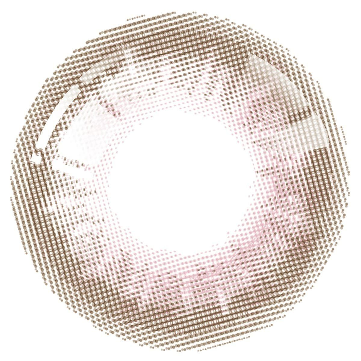 きのこ-レンズ画像