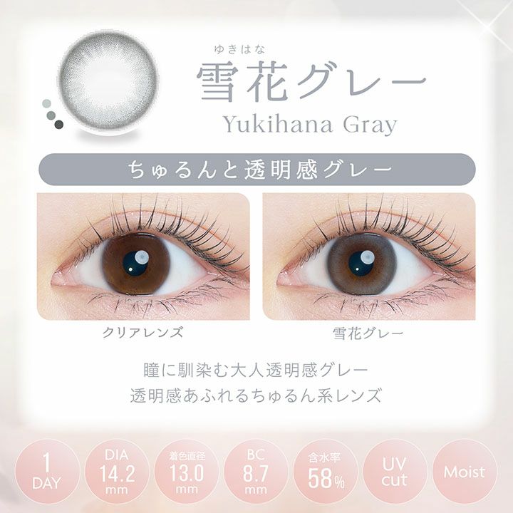 カイカ(Kaica)-雪花グレー-イメージ画像