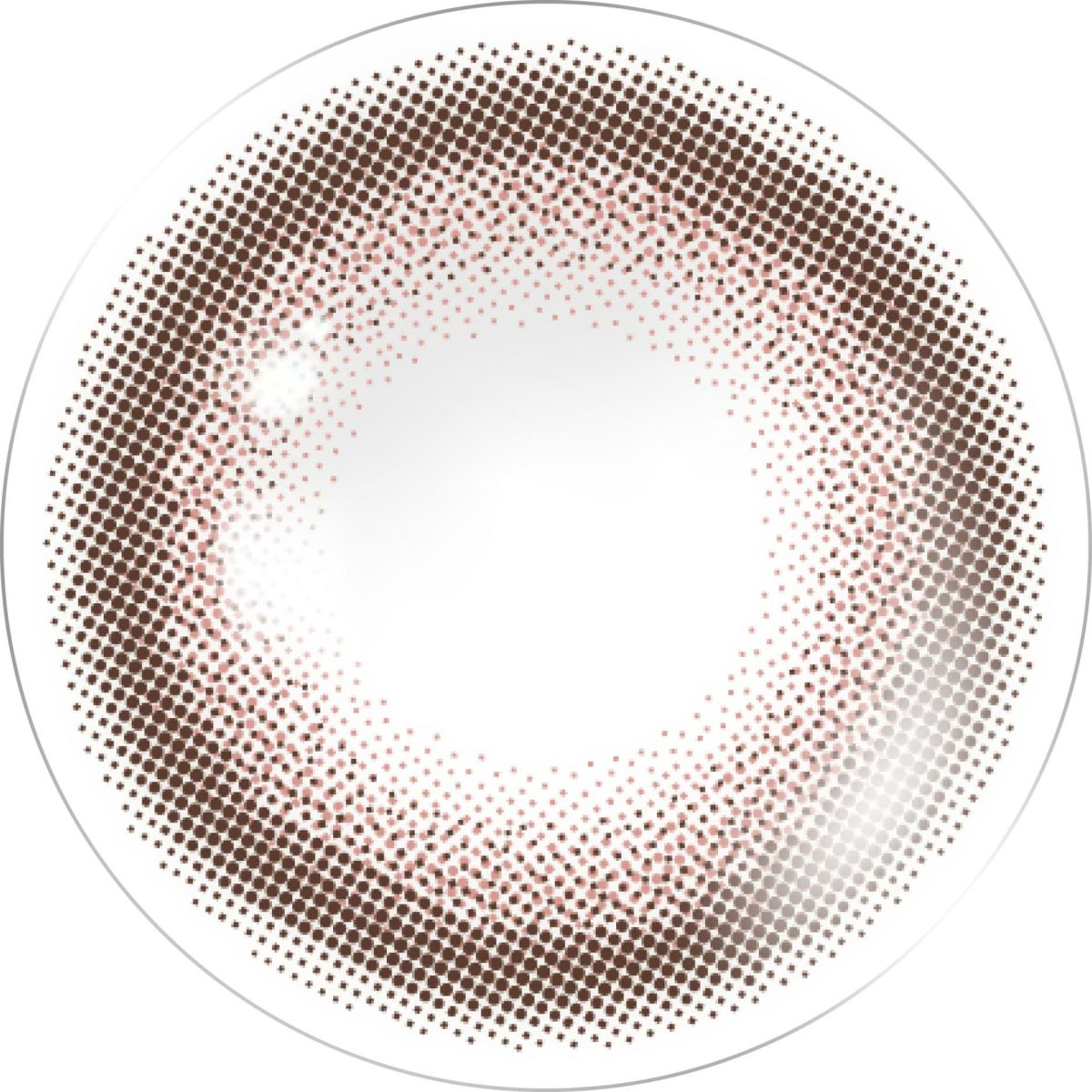 チェリッタワンデー（Cheritta）10枚入[メロウロゼ] 